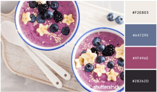 BlueStar paleta boja