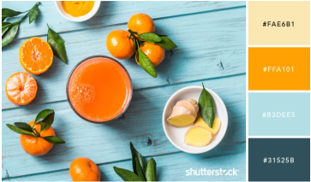 Citrus paleta boja