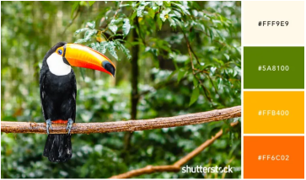 Toucan paleta boja